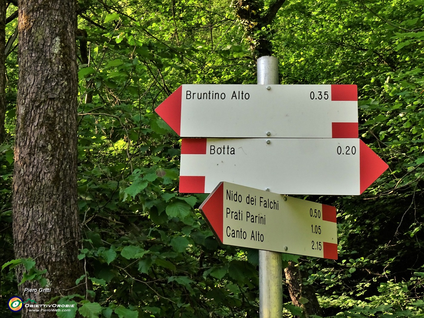 33 Ed ora via per i Prati Parini sul 'Sentiero delle Rue'.JPG